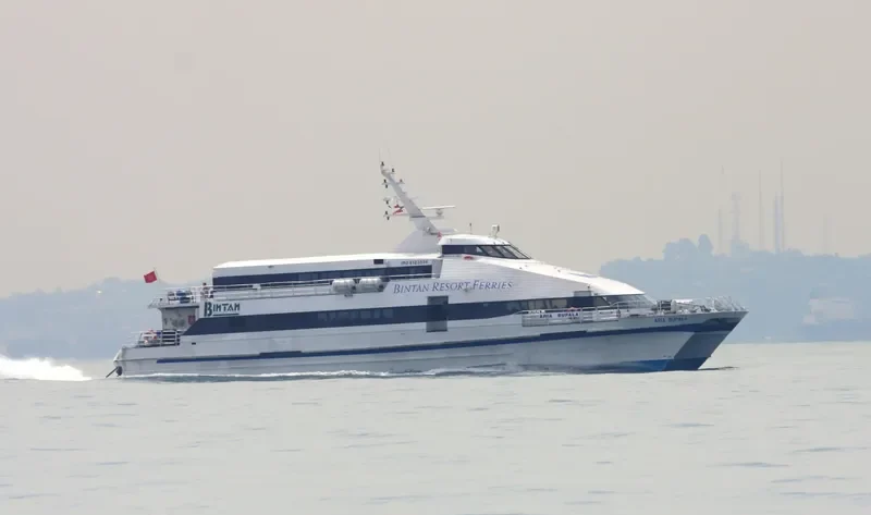 ARIA BUPALA Passenger Ship IMO 9123556 photo 6