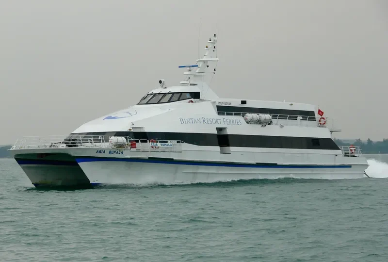ARIA BUPALA Passenger Ship IMO 9123556 photo 7
