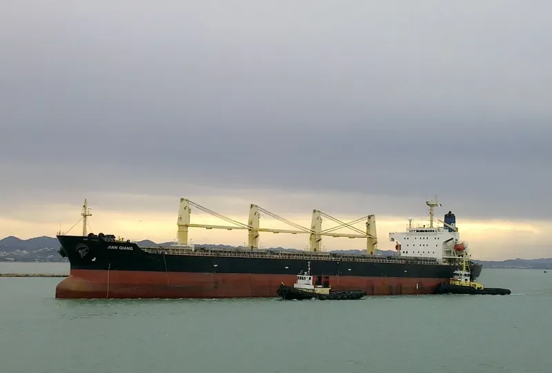 JIAN QIANG Bulk Carrier IMO 9123623 photo 6