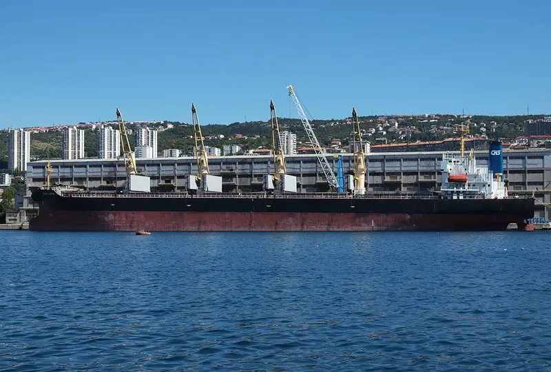 GANG QIANG Bulk Carrier IMO 9123635 photo 2