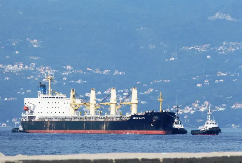 GANG QIANG Bulk Carrier IMO 9123635 photo 6