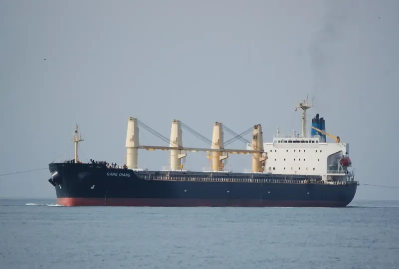 GANG QIANG Bulk Carrier IMO 9123635 photo 9
