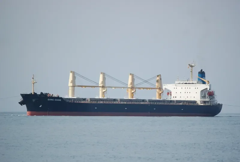 GANG QIANG Bulk Carrier IMO 9123635 photo 10