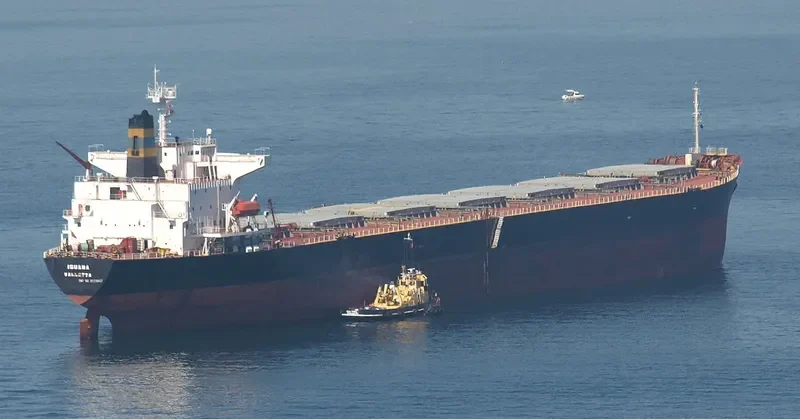 TAI HANG 6 Bulk Carrier IMO 9123647 photo 2