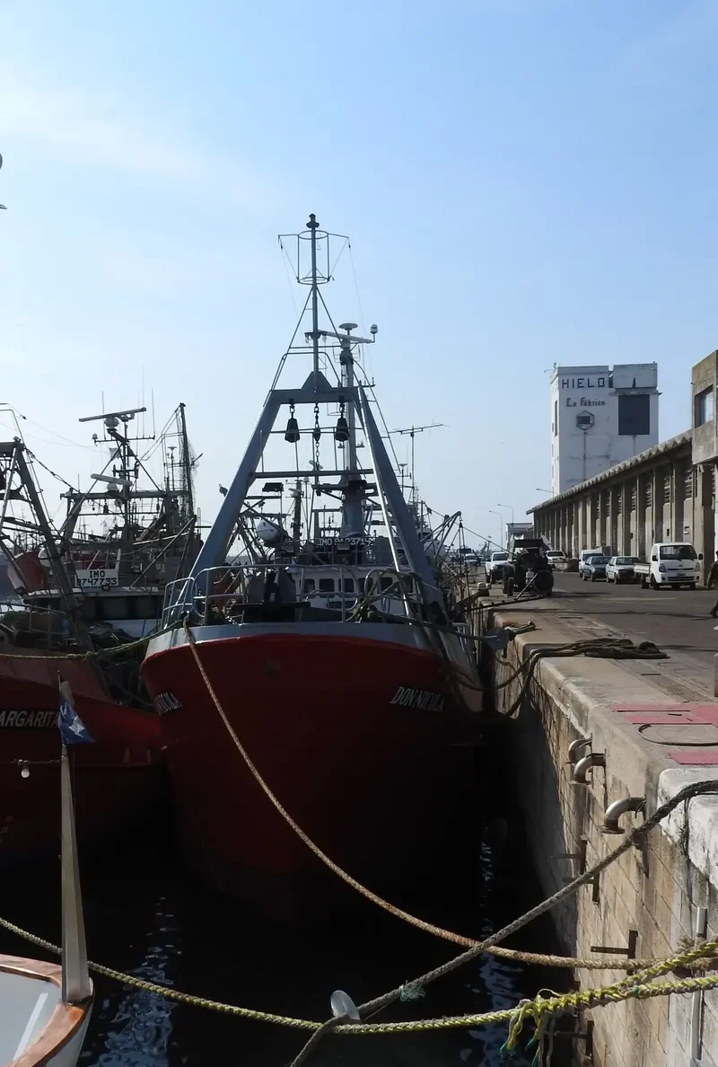 DON NICOLA General Cargo IMO 9123714