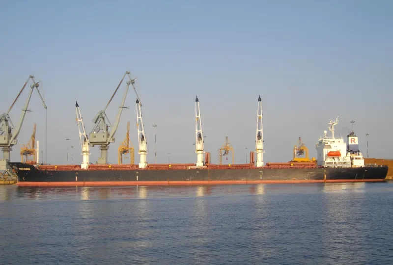 POWER RANGER Bulk Carrier IMO 9123740 photo 12