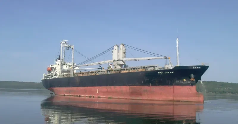 NEW ALLIANCE 9 General Cargo IMO 9123843 photo 3