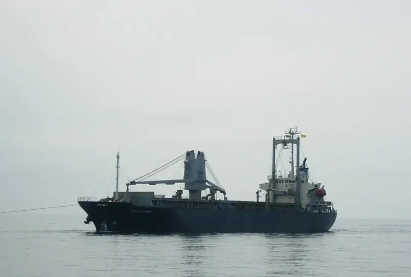 NEW ALLIANCE 9 General Cargo IMO 9123843 photo 5