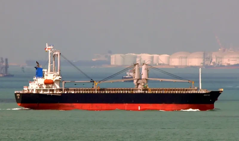 NEW ALLIANCE 9 General Cargo IMO 9123843 photo 7