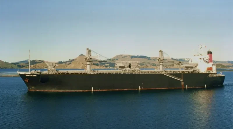 SIAM OCEAN Bulk Carrier IMO 9123934