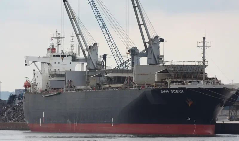 SIAM OCEAN Bulk Carrier IMO 9123934 photo 4