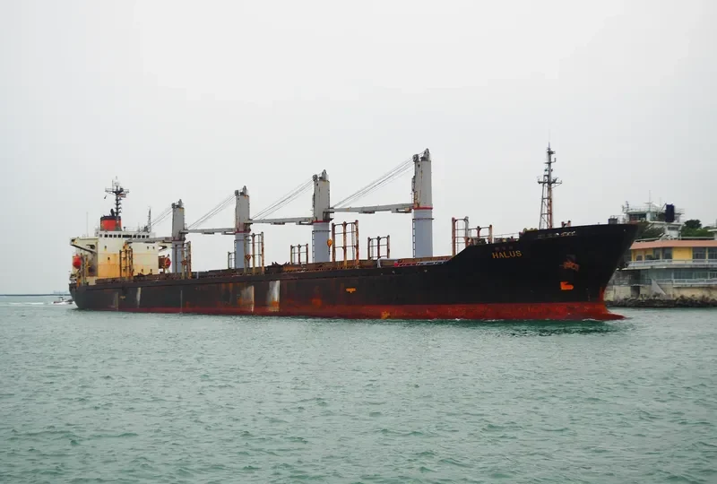 HALUS Bulk Carrier IMO 9123972