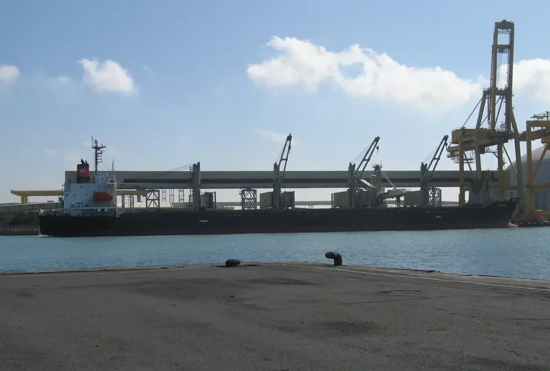 HALUS Bulk Carrier IMO 9123972 photo 7