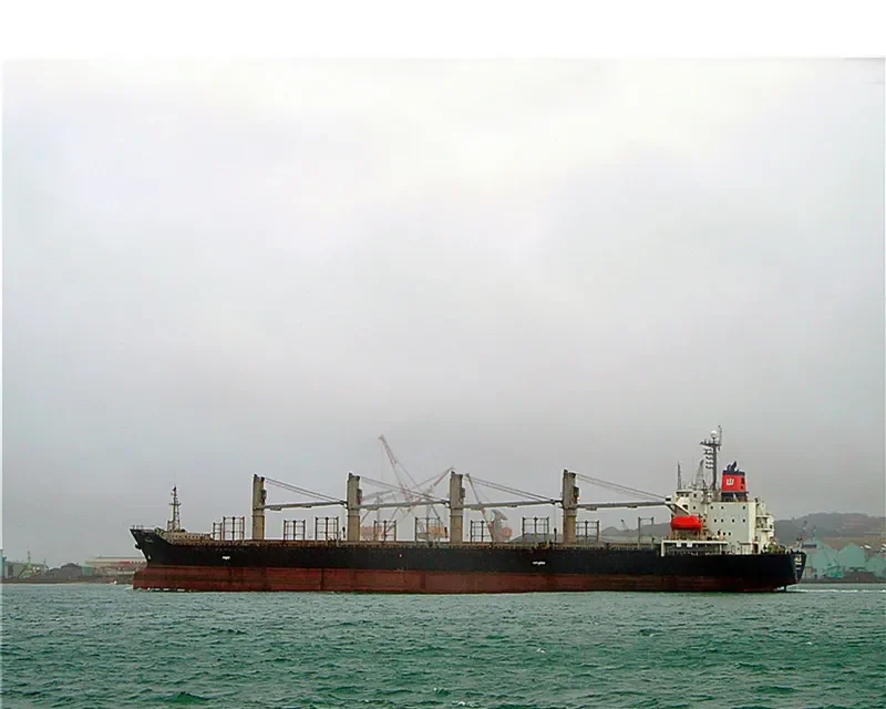 HALUS Bulk Carrier IMO 9123972 photo 9