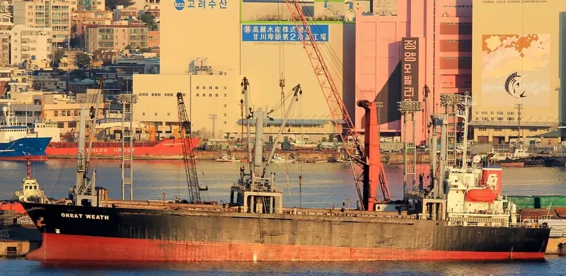 UNIHOPE General Cargo IMO 9124201 photo 2