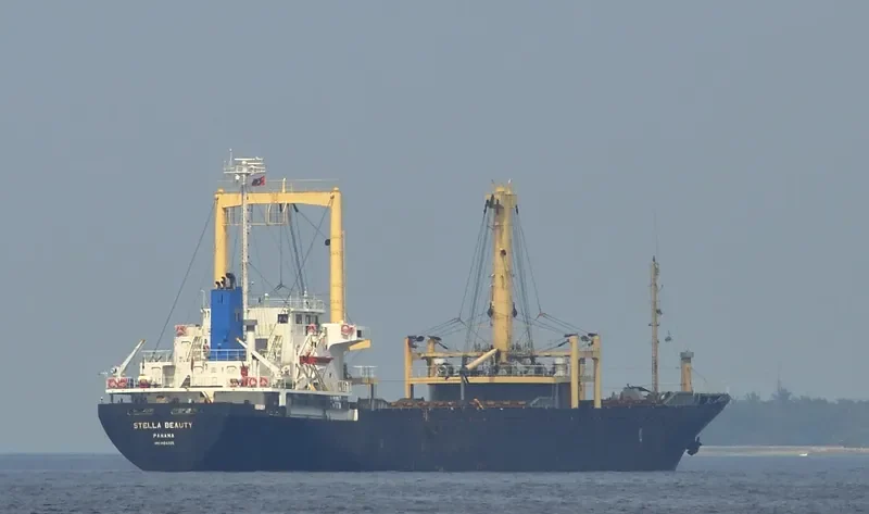 STELLA BEAUTY General Cargo IMO 9124225