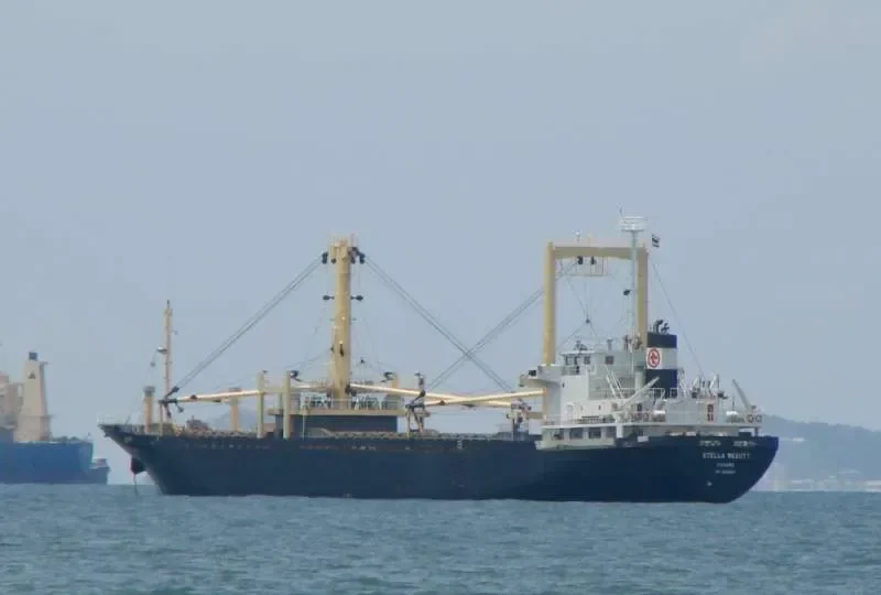 STELLA BEAUTY General Cargo IMO 9124225 photo 2