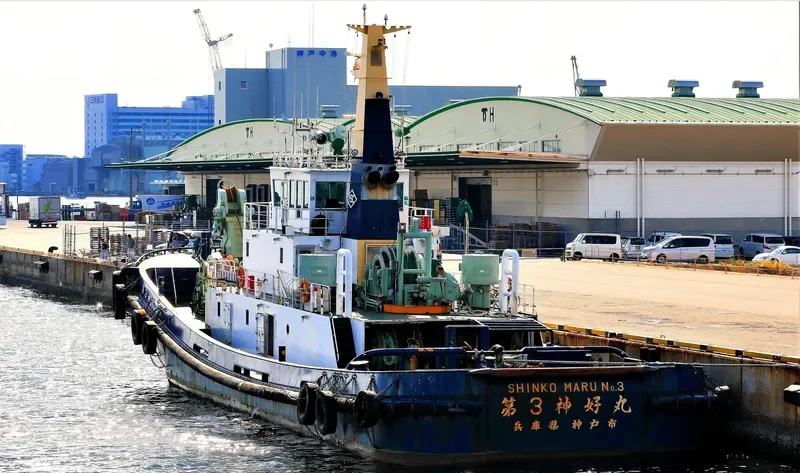 SHINKO MARU NO.3 General Cargo IMO 9124330 photo 8