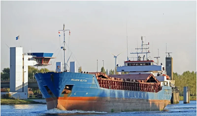 WILSON BLYTH Container Ship IMO 9124419