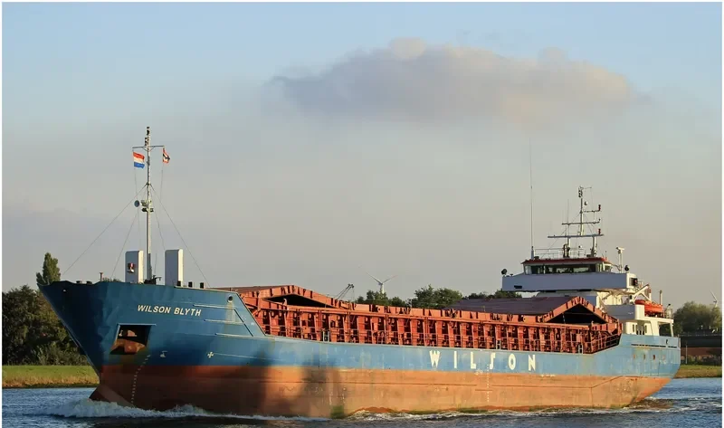 WILSON BLYTH Container Ship IMO 9124419 photo 2