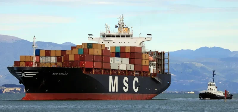 MSC CARLA 3 Container Ship IMO 9124512 photo 7