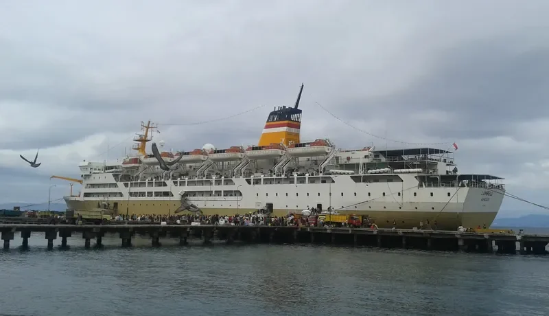 LAMBELU Passenger Ship IMO 9124548 photo 2