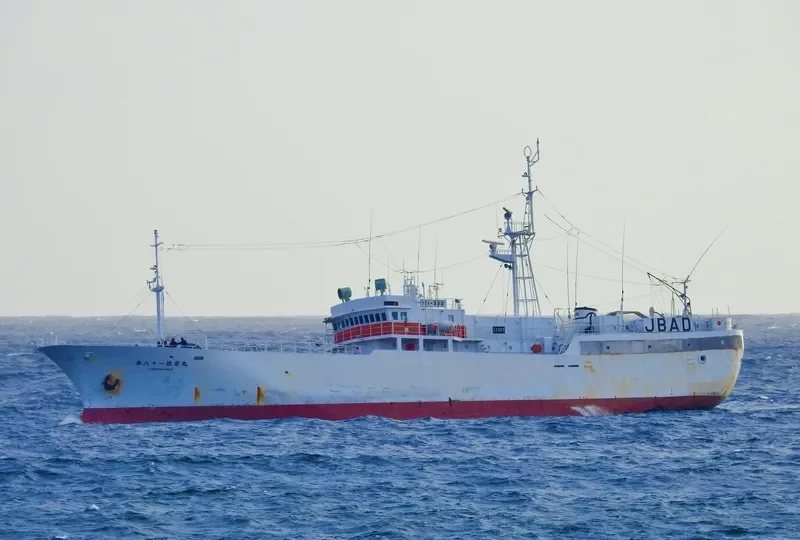KINEI MARU NO.81 General Cargo IMO 9125322