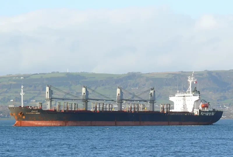CHALOTHORN NAREE Bulk Carrier IMO 9125449 photo 5