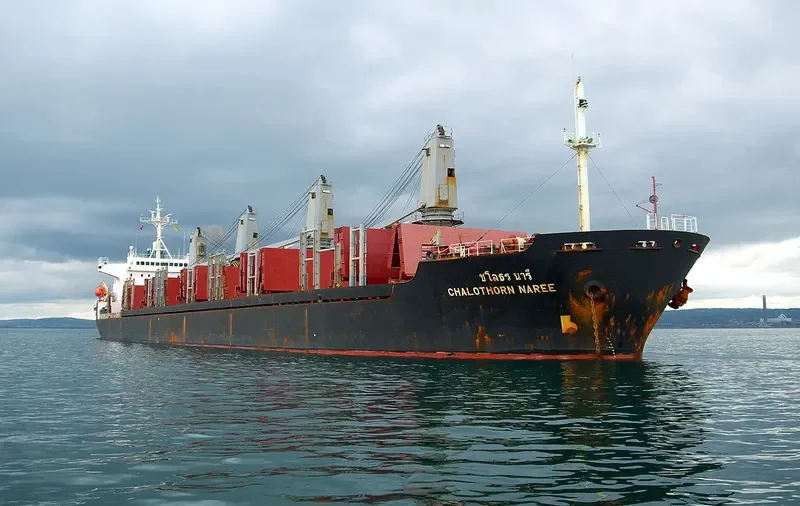 CHALOTHORN NAREE Bulk Carrier IMO 9125449 photo 7