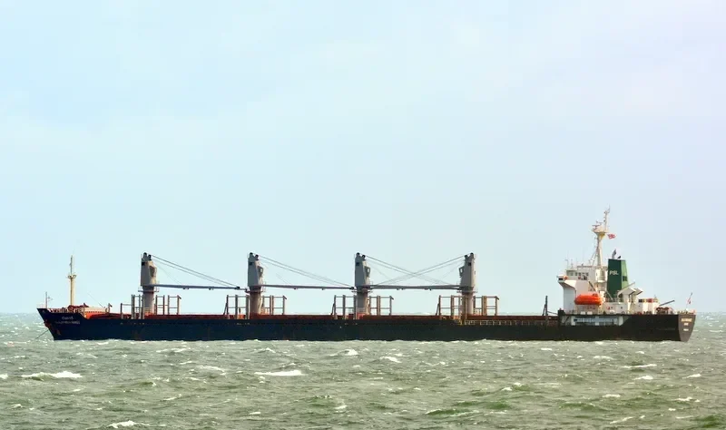 CHALOTHORN NAREE Bulk Carrier IMO 9125449 photo 9