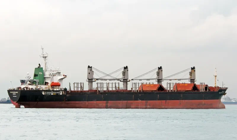 CHALOTHORN NAREE Bulk Carrier IMO 9125449 photo 10