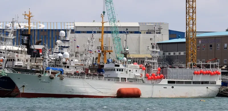 GEPARD General Cargo IMO 9125528 photo 2