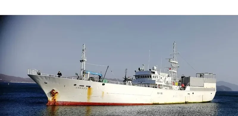 GEPARD General Cargo IMO 9125528 photo 4