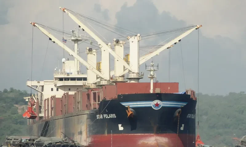 TRUE FRIEND Bulk Carrier IMO 9125566