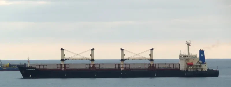 TRUE FRIEND Bulk Carrier IMO 9125566 photo 4