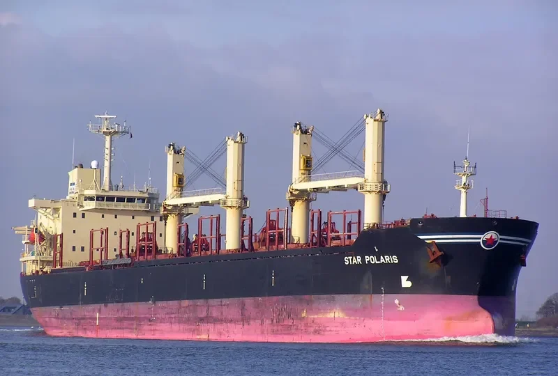 TRUE FRIEND Bulk Carrier IMO 9125566 photo 5