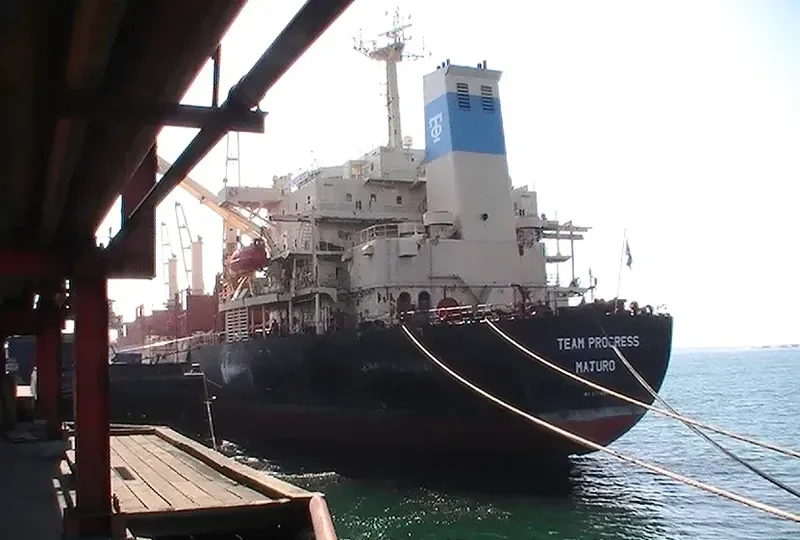 TRUE FRIEND Bulk Carrier IMO 9125566 photo 6