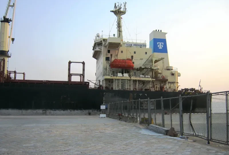 TRUE FRIEND Bulk Carrier IMO 9125566 photo 7