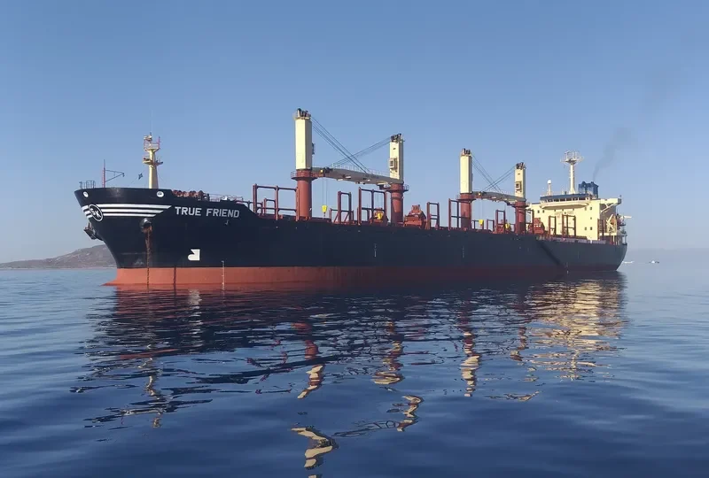 TRUE FRIEND Bulk Carrier IMO 9125566 photo 9