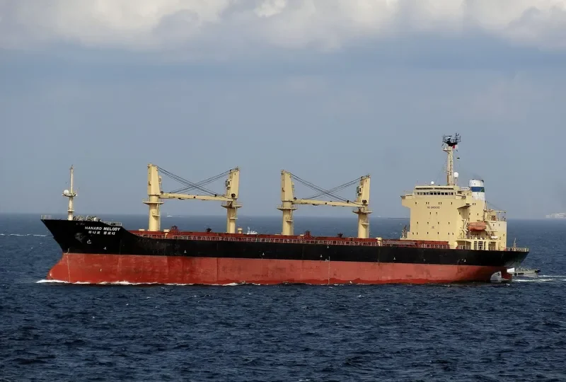 HANARO MELODY Bulk Carrier IMO 9125798 photo 2