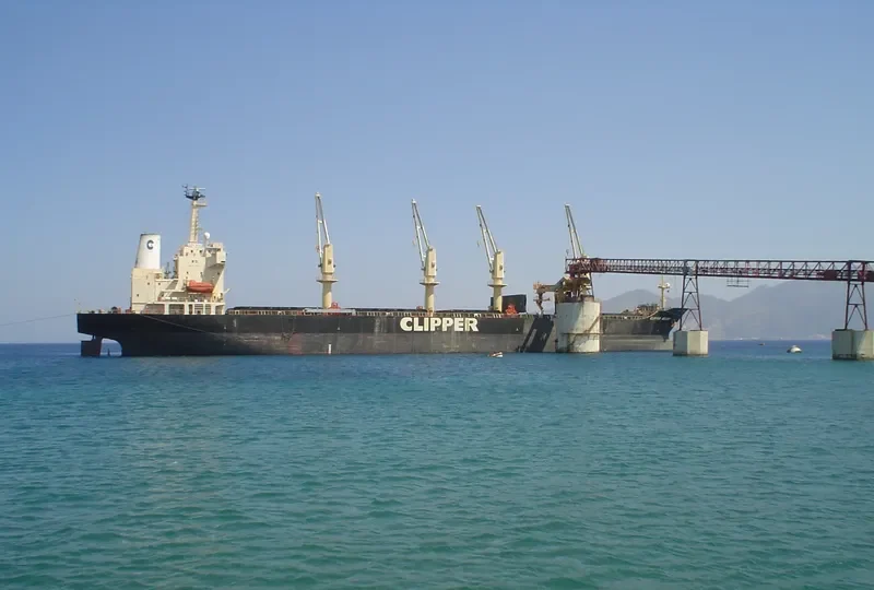 HANARO MELODY Bulk Carrier IMO 9125798 photo 6