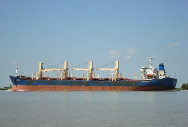 SEA BAISI Bulk Carrier IMO 9125803 photo 2