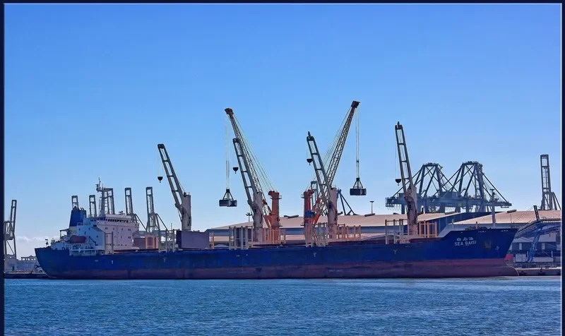 SEA BAISI Bulk Carrier IMO 9125803 photo 3