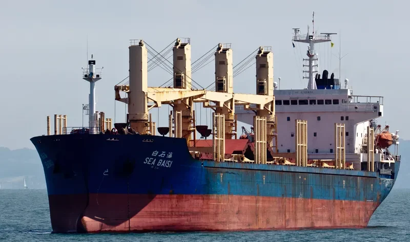 SEA BAISI Bulk Carrier IMO 9125803 photo 7