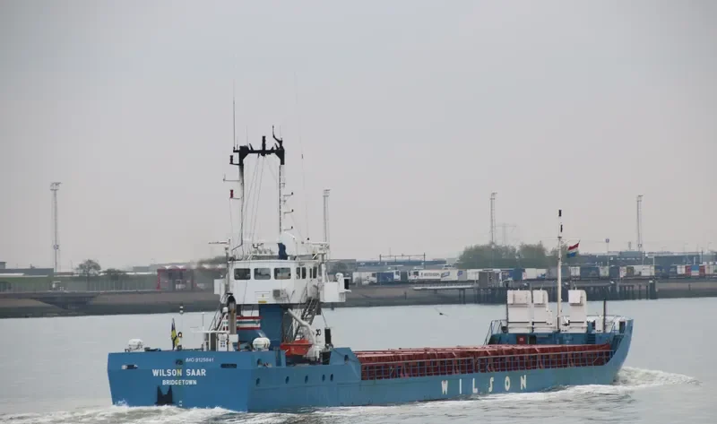 WILSON SAAR General Cargo IMO 9125841 photo 8