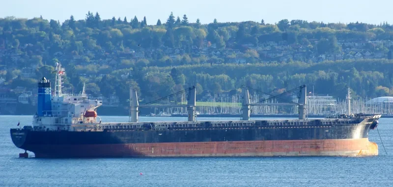 GENCO MARINE Bulk Carrier IMO 9125906 photo 5