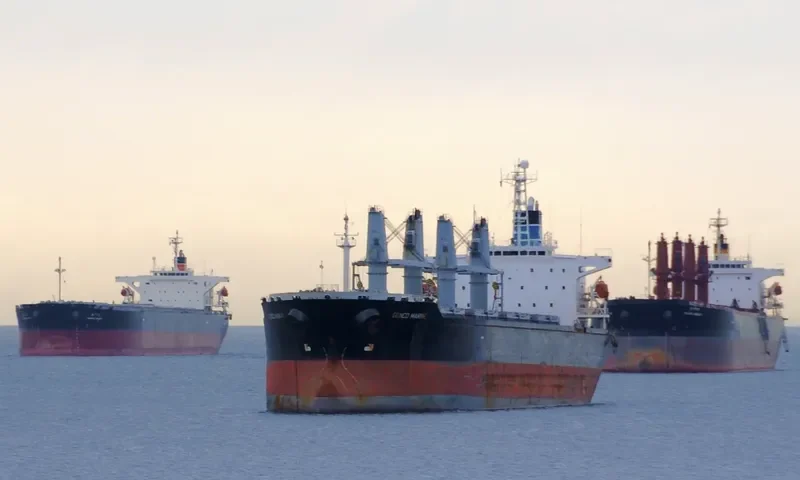 GENCO MARINE Bulk Carrier IMO 9125906 photo 9
