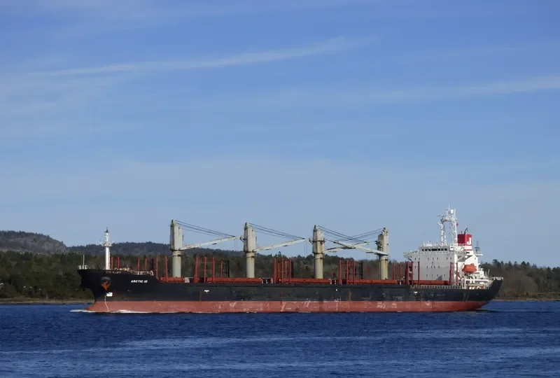 MICROSTEP Bulk Carrier IMO 9125918 photo 2