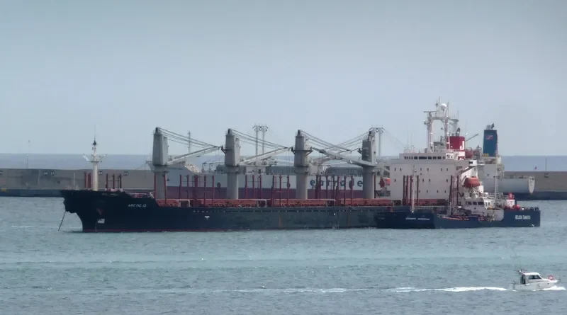 MICROSTEP Bulk Carrier IMO 9125918 photo 3