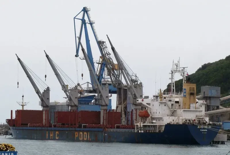 MICROSTEP Bulk Carrier IMO 9125918 photo 5